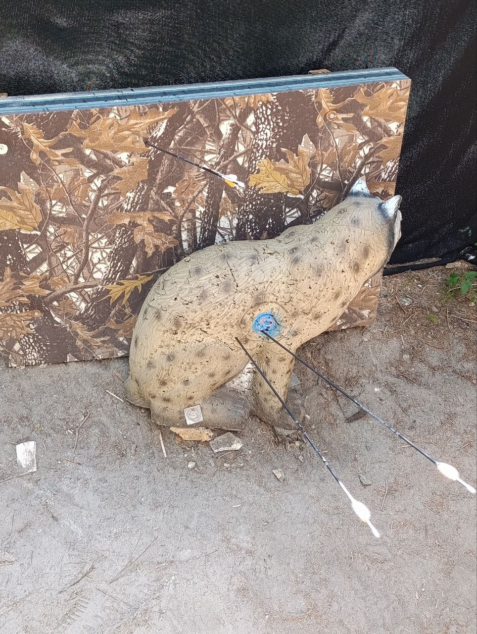 3D-Ziel Wildkatze mit Pfeilen