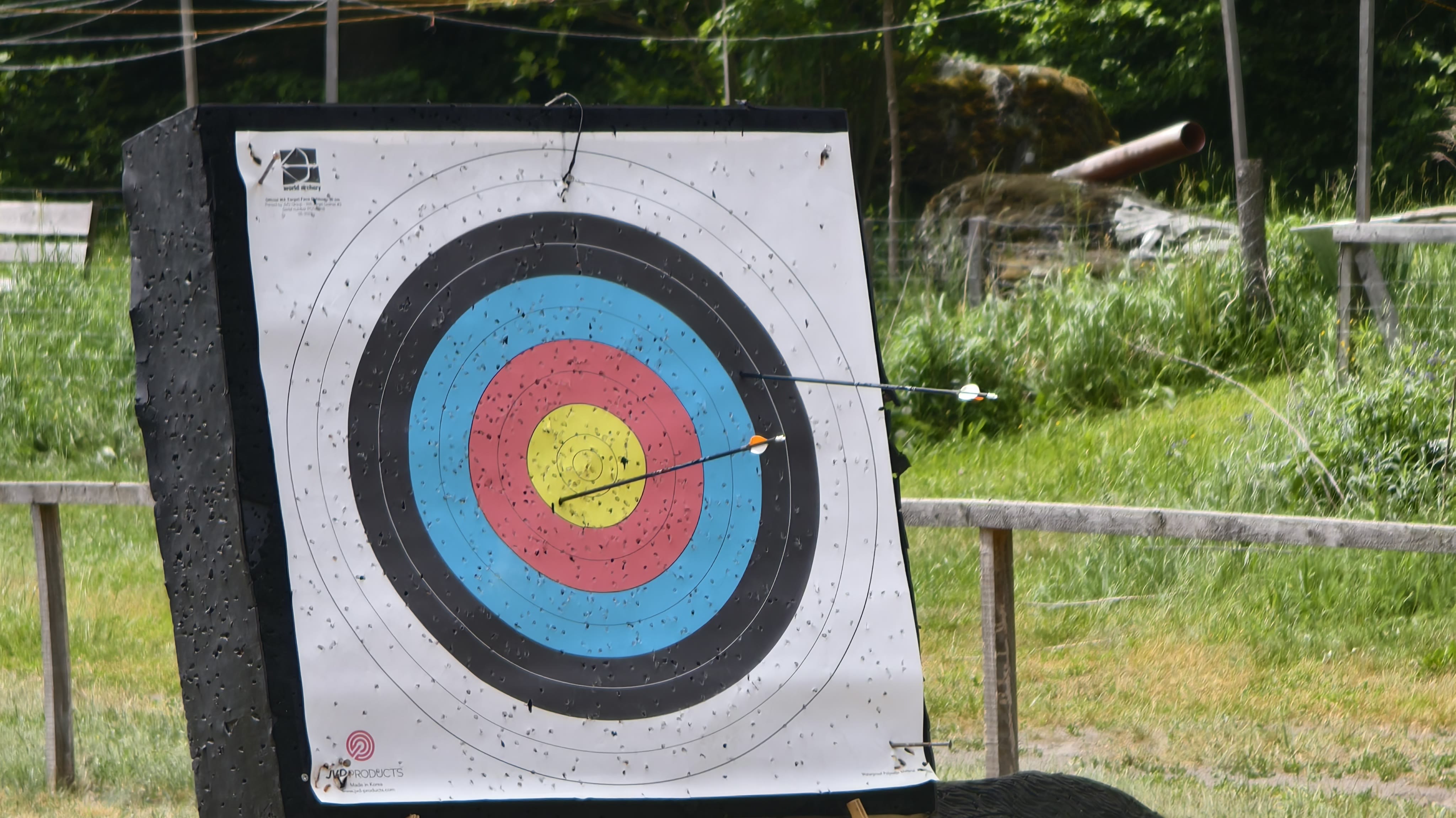 Zielscheibe mit Pfeil im roten Ring