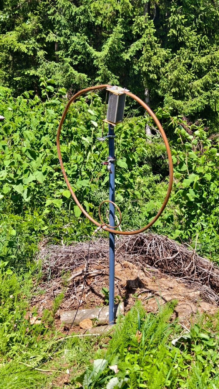 Magnetic Loop Antenne im Wald