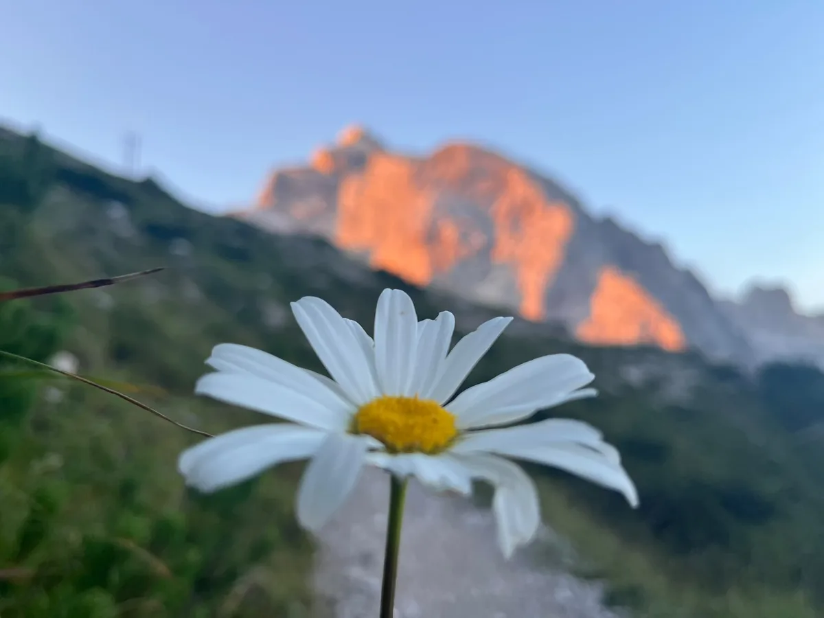 Aufstieg im Morgengrauen durch das Innerfeldtal Richtung Dreischusterhütte